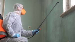 Why You Should Choose Our Mold Remediation Services in Mount Pulaski, IL